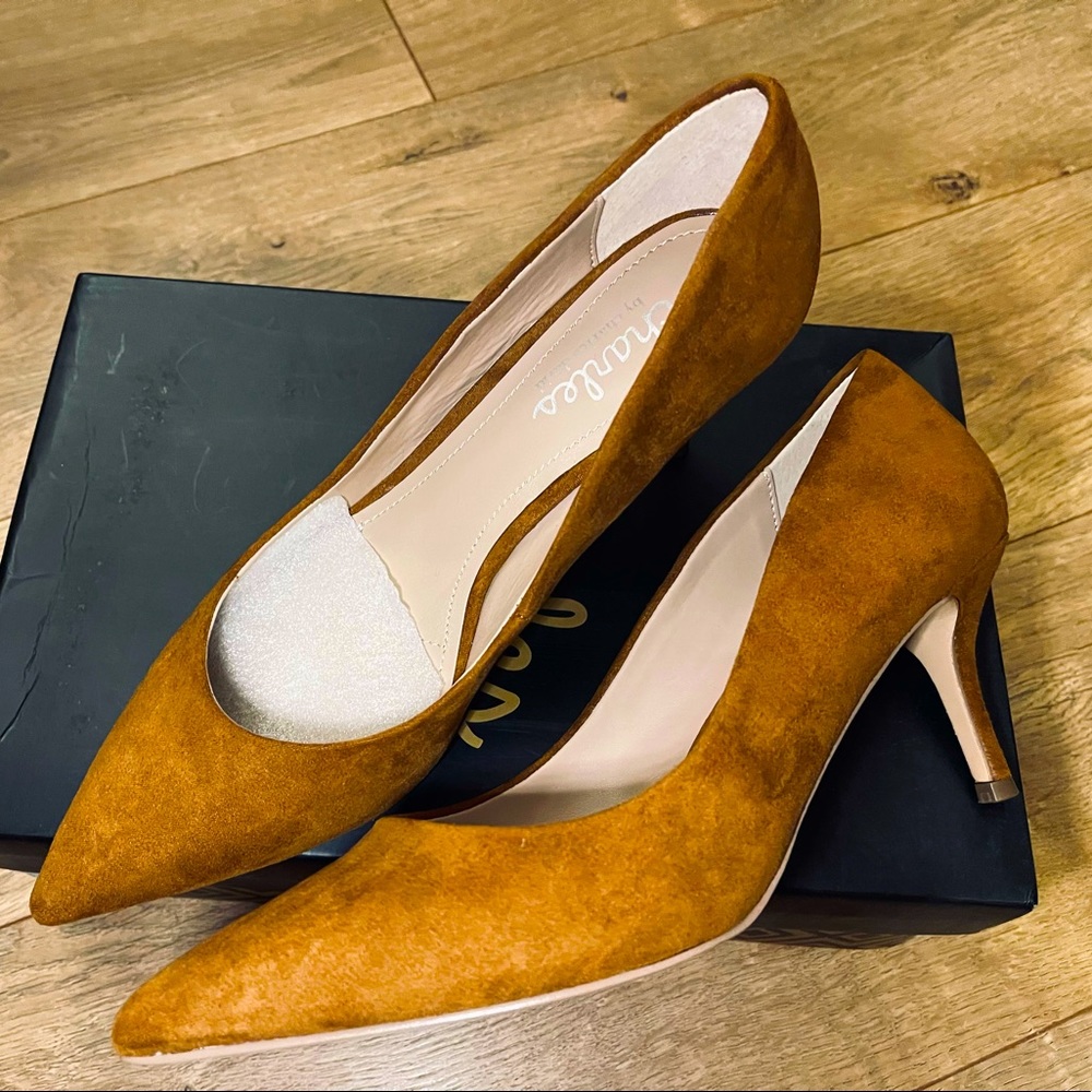 Charles David pointed toe kitten heels